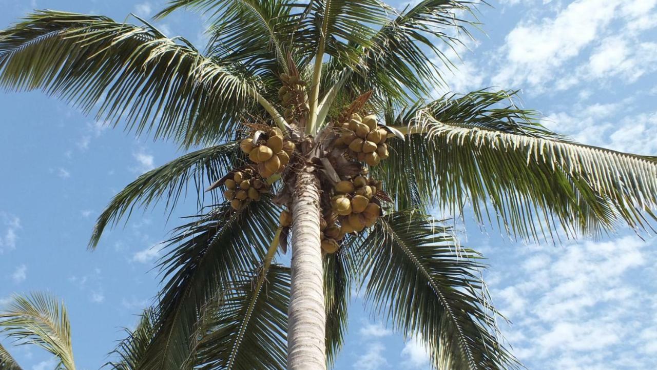 Kunta Kinteh Beach Complex Коту Екстериор снимка